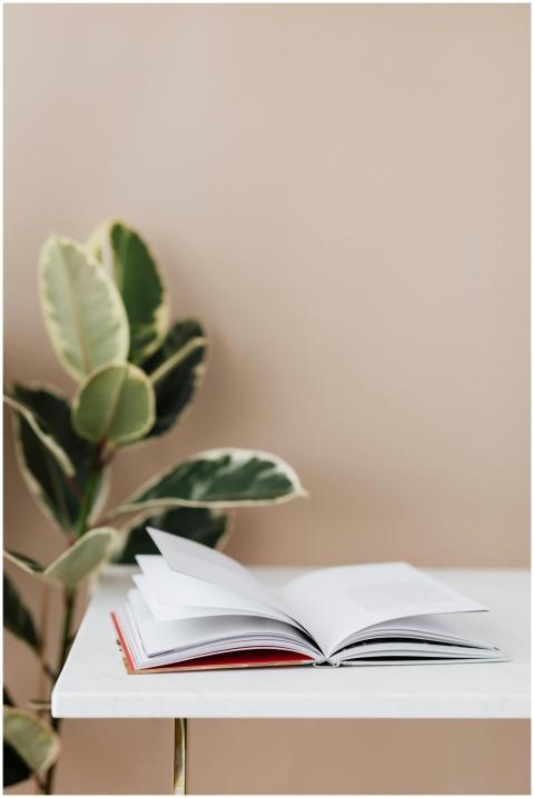 A minimalist scene with an open book on a table ne