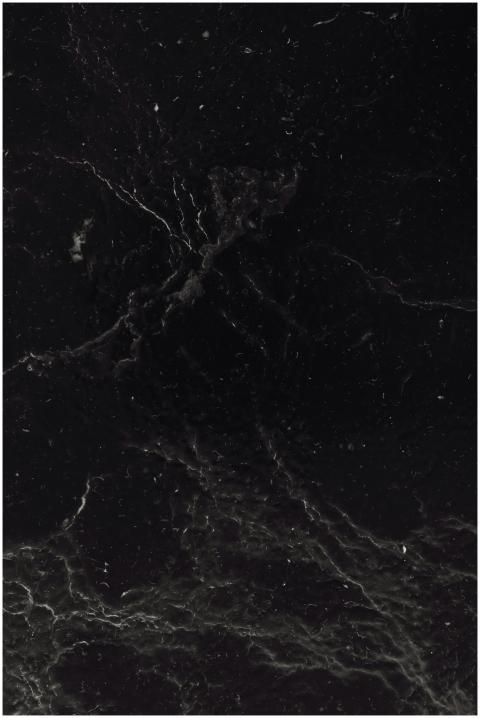 High-resolution image of intricate black marble te
