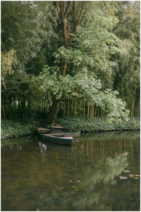 Peaceful scene of a pond with boats in Monet's gar