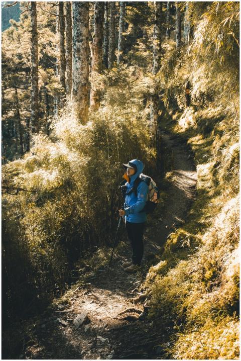 A solo hiker in a blue jacket walking through a se