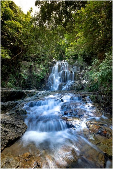 A tranquil waterfall cascading through a verdant f