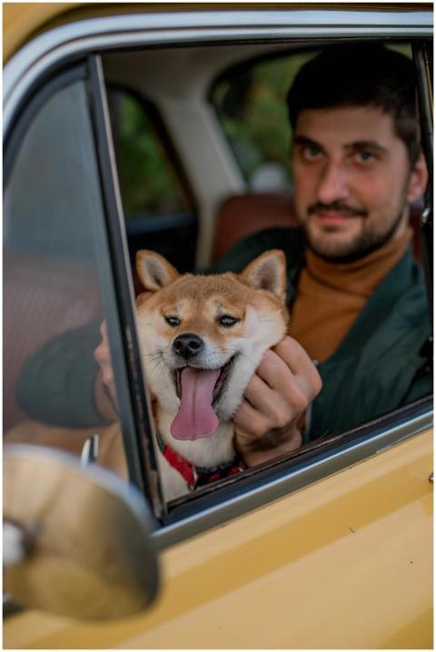 A man sitting in a yellow car with his happy Shiba