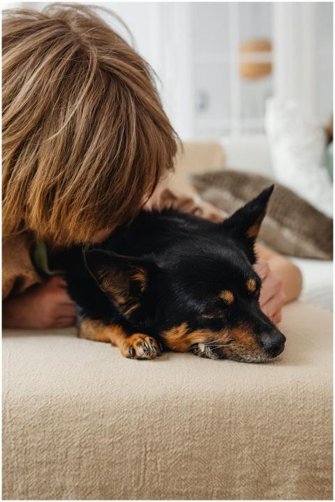 A child lovingly cuddles a sleeping dog on a cozy