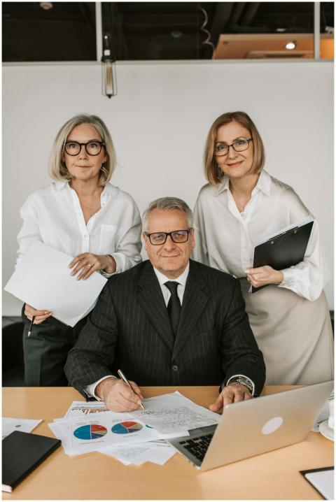 A group of senior business professionals collabora