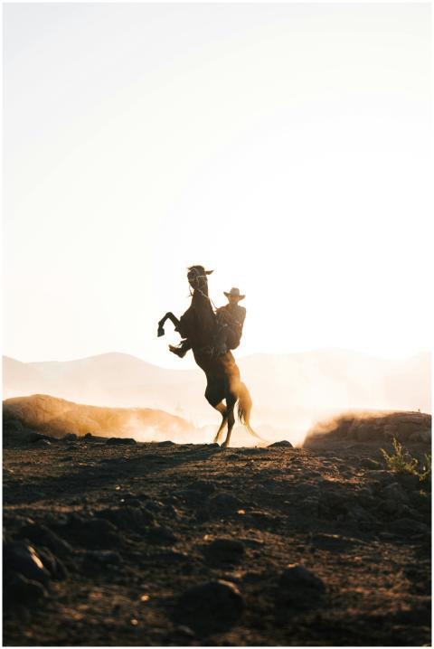 Dramatic silhouette of a horse rearing with a ride