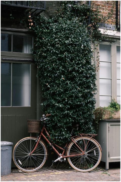 A vintage bicycle with a wicker basket rests again