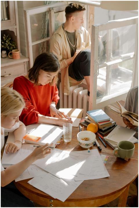 Group of college students studying in a sunlit roo
