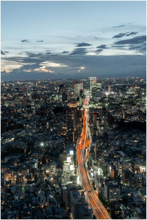 Stunning aerial view of Tokyo cityscape at twiligh