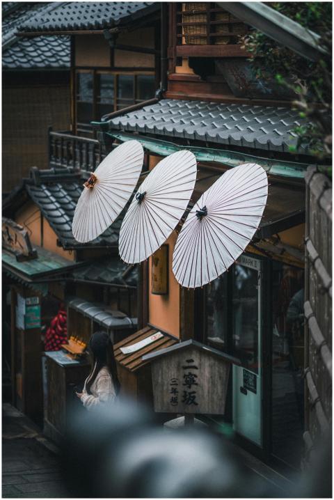 Charming street scene in Kyoto, Japan featuring tr