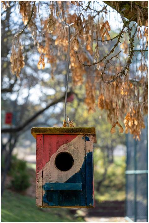 A multicolored birdhouse hanging outdoors in a sun