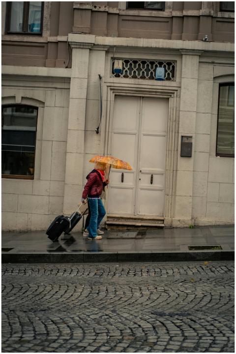 Person with umbrella and suitcase walking past a b