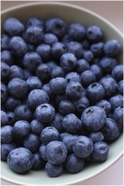 A close-up view of organic blueberries in a bowl,