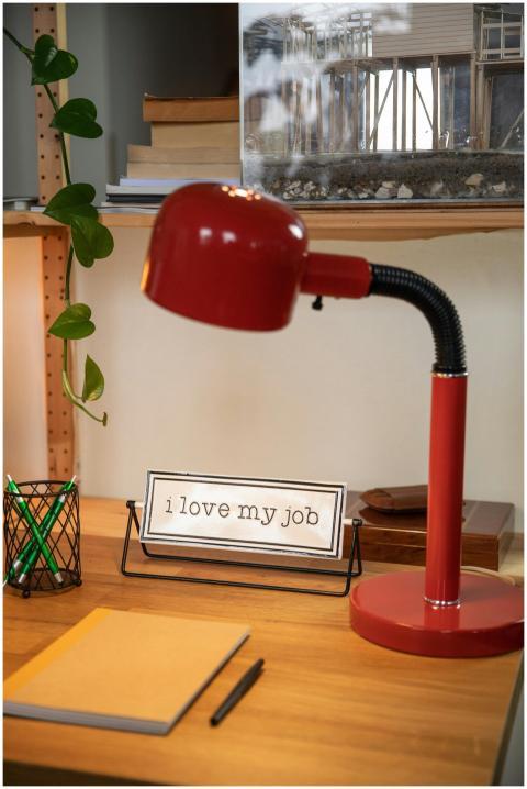 A well-organized desk featuring a red lamp, books,