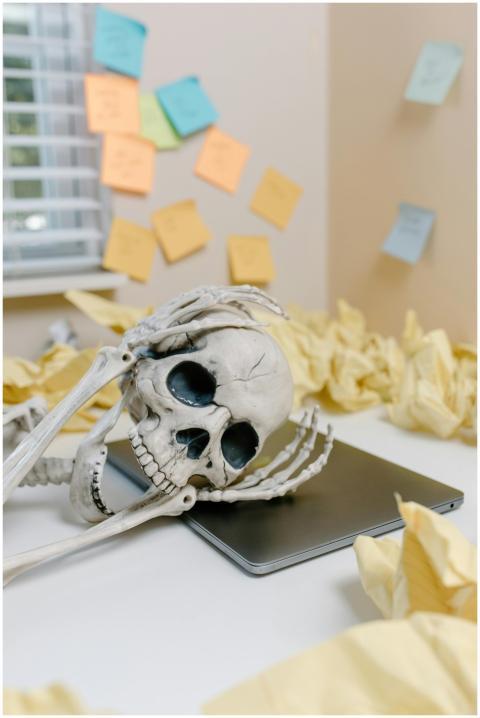 A humorous skeleton model with a laptop amid crump