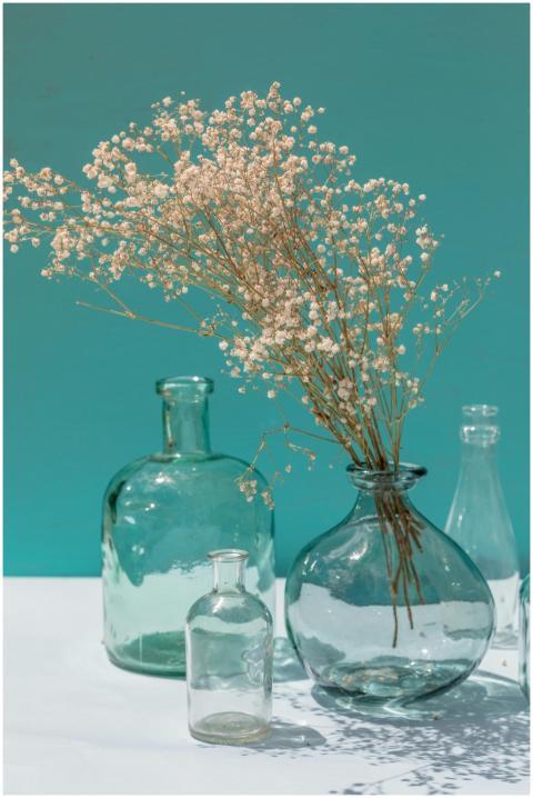 Artistic still life featuring glass bottles and de