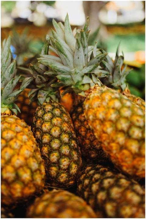 Vibrant pile of ripe pineapples with spiky leaves