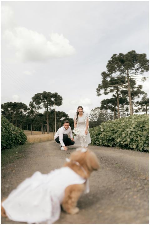 Couple with their dog in wedding attire on a sceni