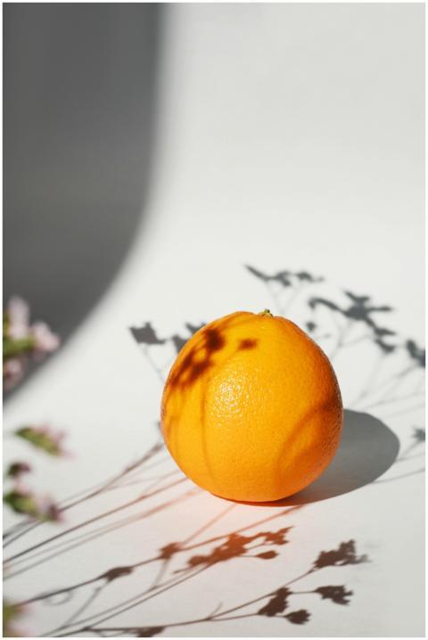 A vibrant orange with artistic leaf shadows on a n