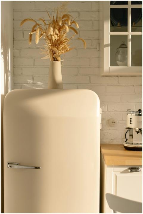 Elegant kitchen scene with retro fridge, dried flo