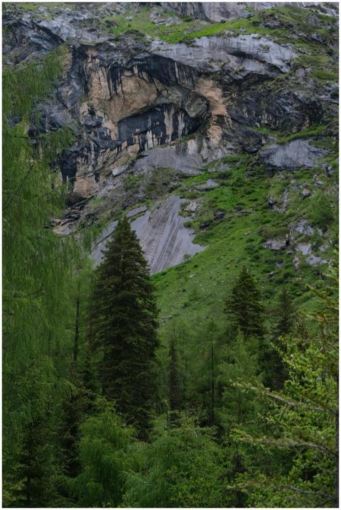 Scenic view of lush forest and rocky cliffs in a m