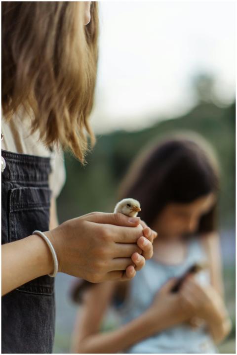 Two girls gently holding chicks outdoors, displayi