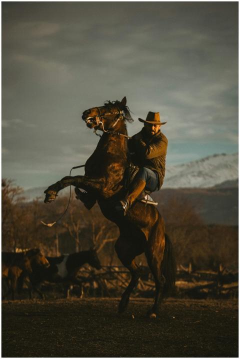 Cowboy on a rearing horse with scenic mountain sun