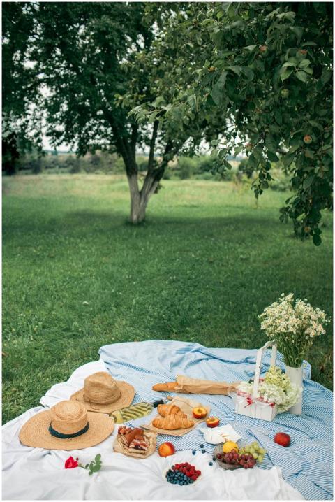 Idyllic summer picnic scene with fresh fruits, cro