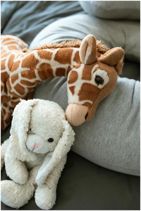 Soft giraffe and bunny toys on a cozy blanket, per