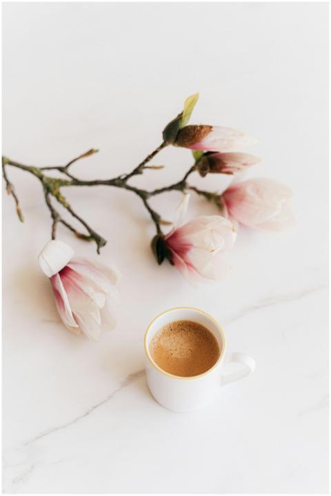 Delicate magnolia flowers with a fresh cup of coff
