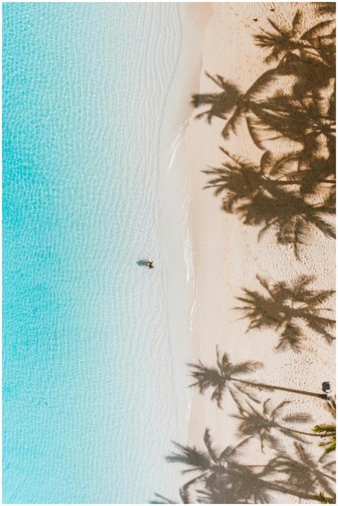 Aerial shot of palm tree shadows on a serene white