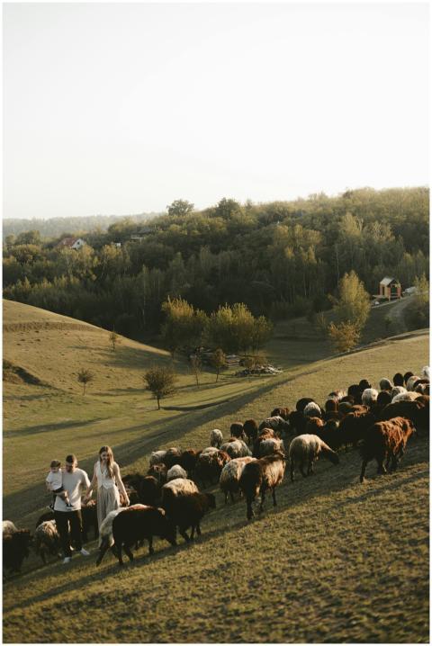 Shepherds guide their flock across a scenic hillsi
