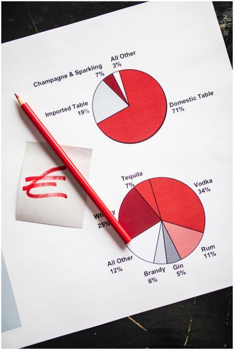 Top-down view of red pencil on pie charts showing