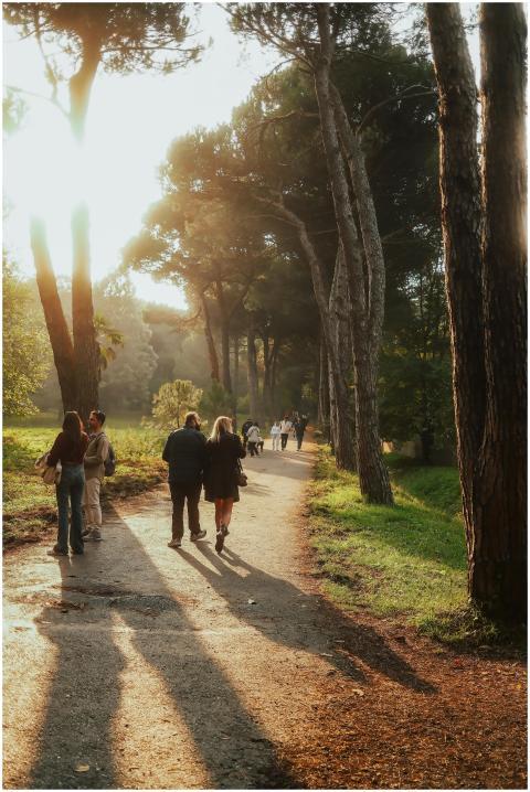 People walking along a forest path with sunlit tre