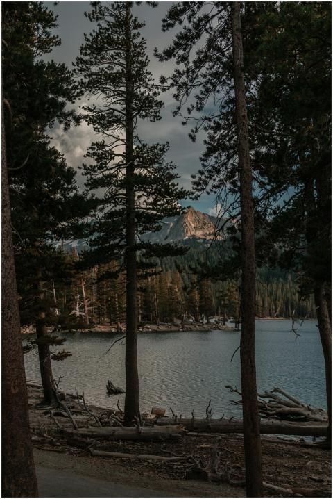 Peaceful forest scene by a mountain lake, perfect