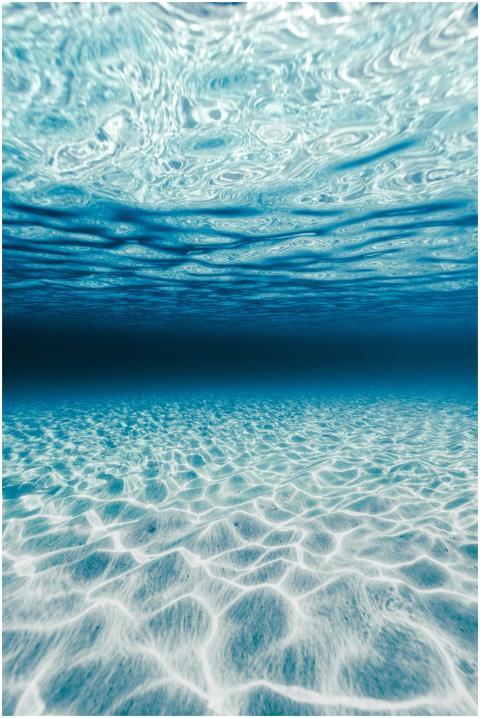 Explore the mesmerizing underwater world with sunl