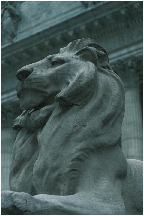 A detailed close-up of a majestic lion statue outs
