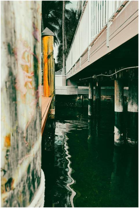 Serene Dockside Reflection 34691457