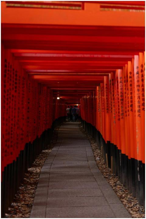 Pathway through vibrant torii gates at Fushimi Ina