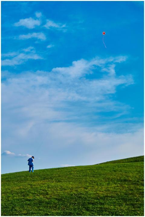 A young boy in a blue shirt flies a red kite on a