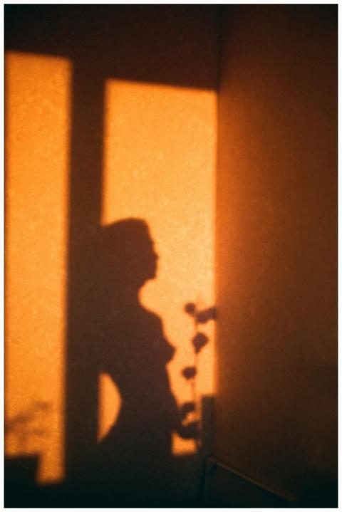 Artistic shadow of a woman on a wall in warm sunli