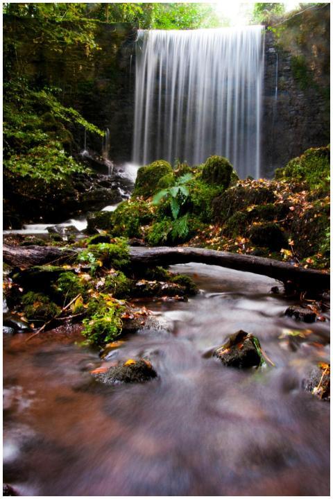 Stunning waterfall flowing through lush forest in
