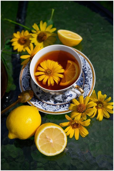 A cup of herbal tea with lemon slices and yellow f