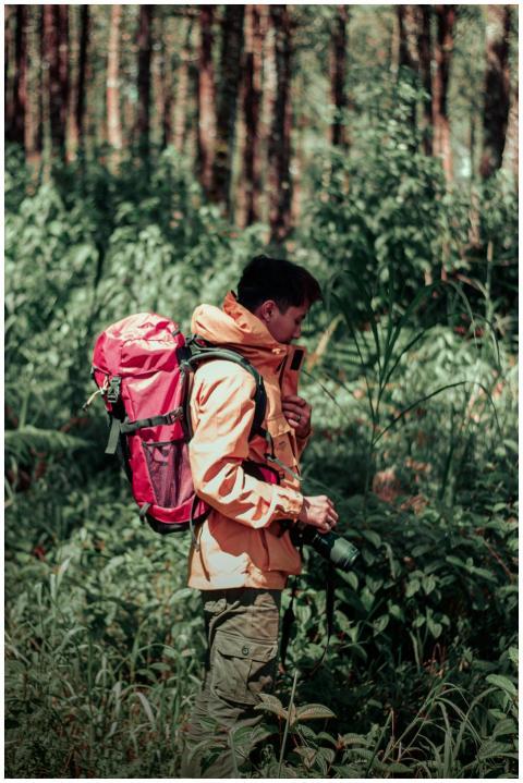 Adult male hiking with red backpack in a lush fore