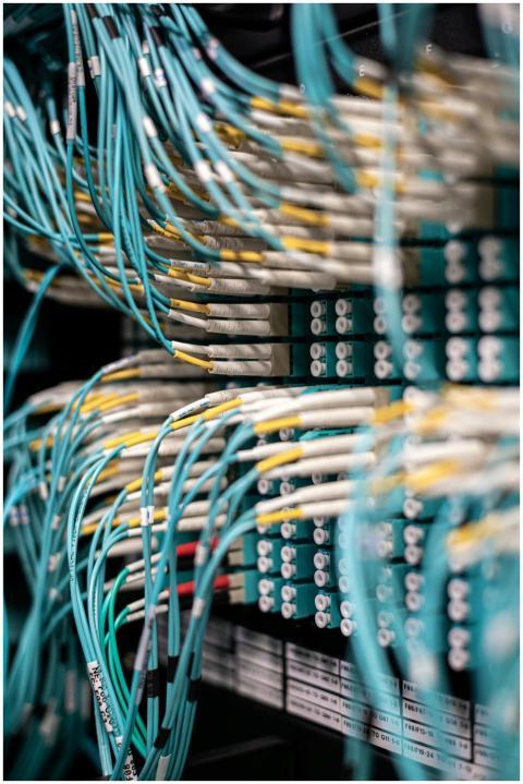 Rows of blue cables and wires plugged into server