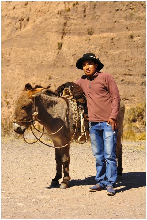 A man in jeans and a hat stands next to a donkey o