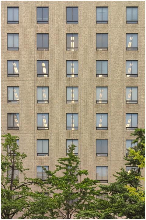 Symmetrical facade of a building in Tokyo with a g