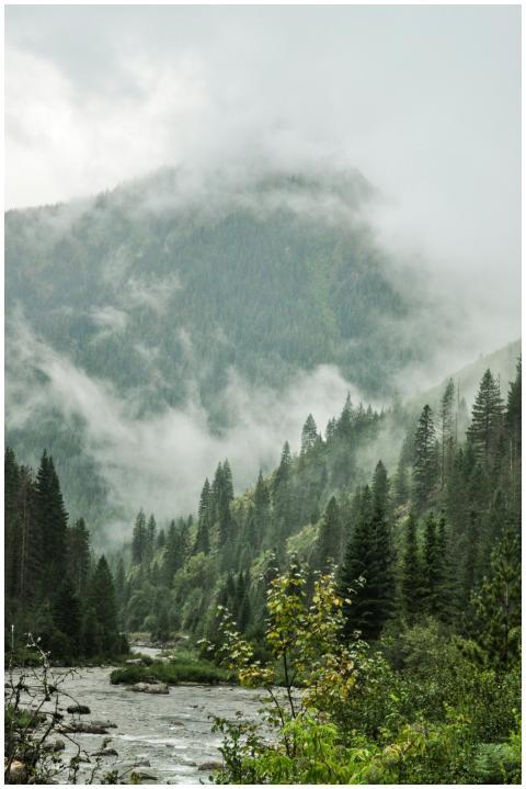 A serene mountain river flows through a lush, fog-