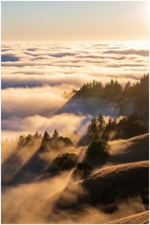 Sunrise casts golden rays over rolling fog and for