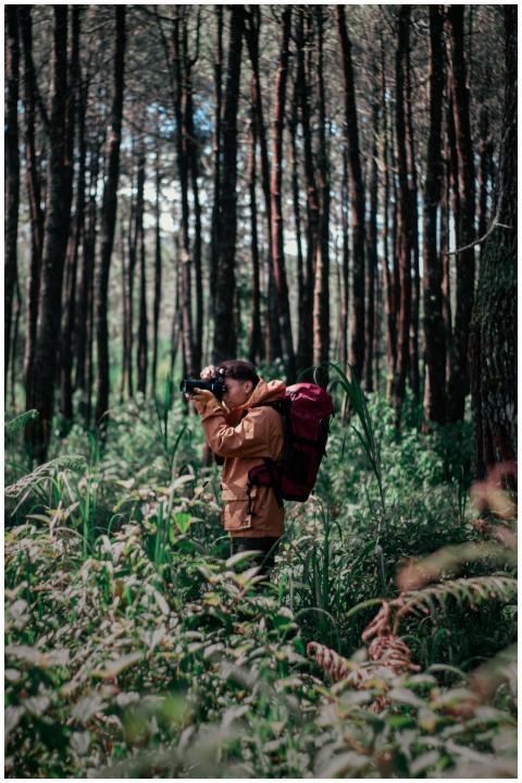Man with backpack taking photos in a lush, green f