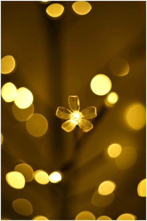 Golden Bokeh Lights Floral